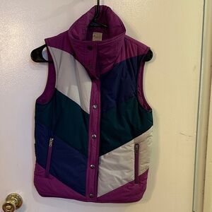 Patagonia Purple and Blue Chevron Vest